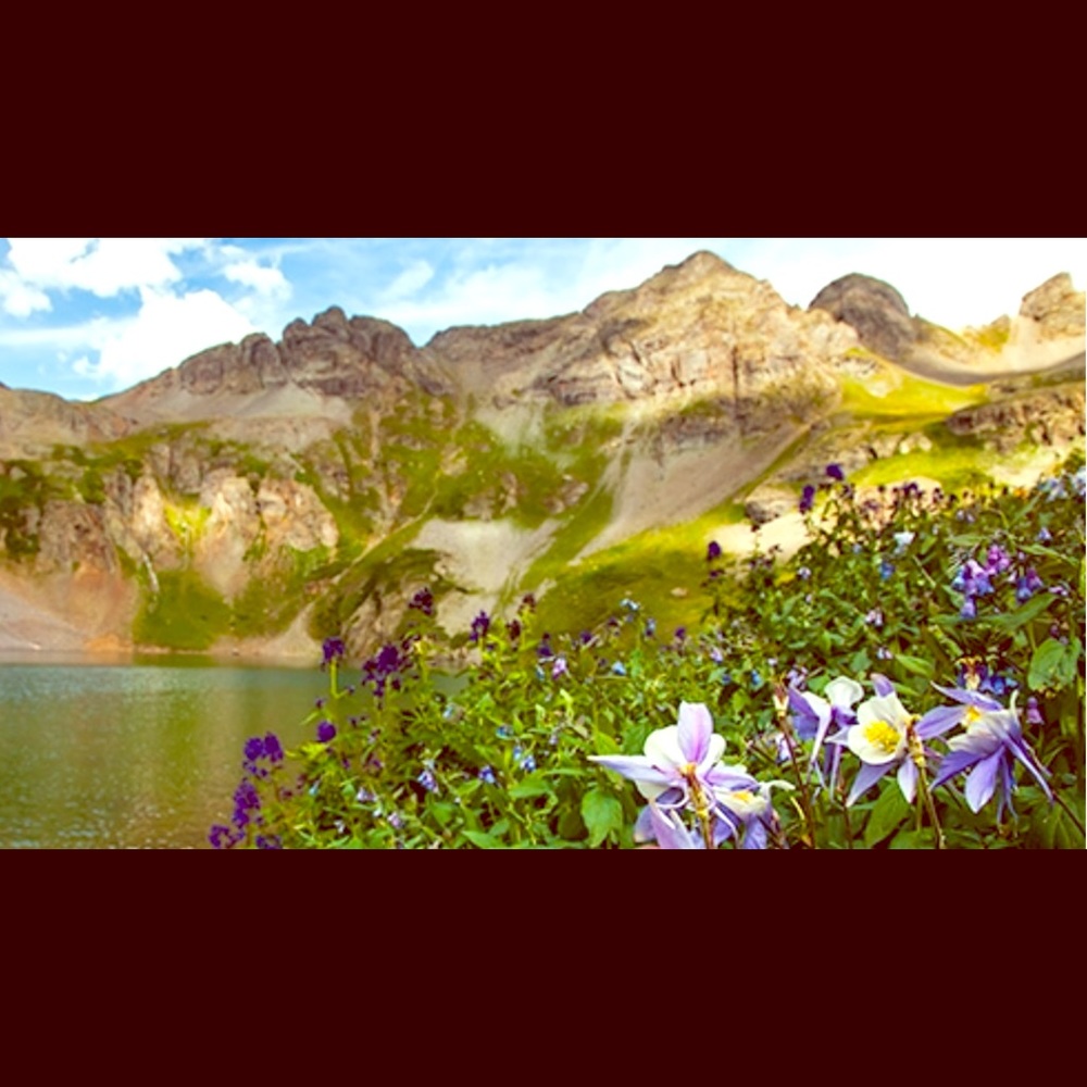 Meet your Posher, Vicki